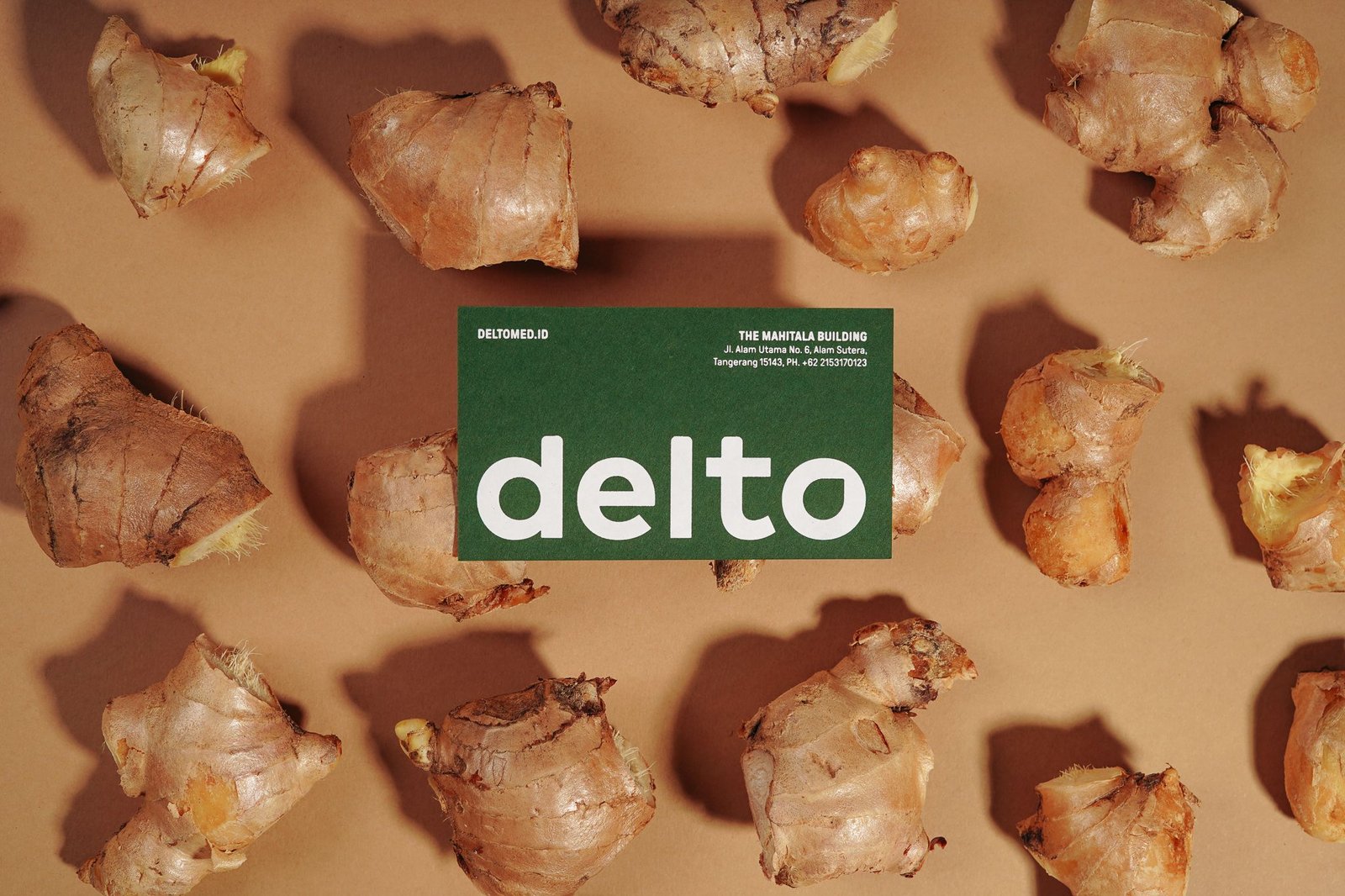Delto Rebranding